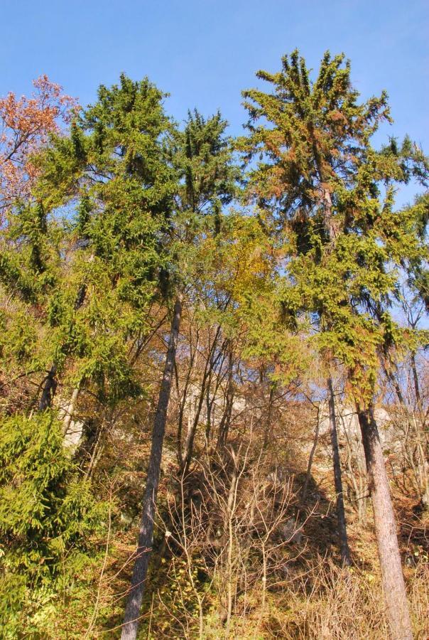 Pokoje Goscinne U Grazyny Ojcow Exterior foto