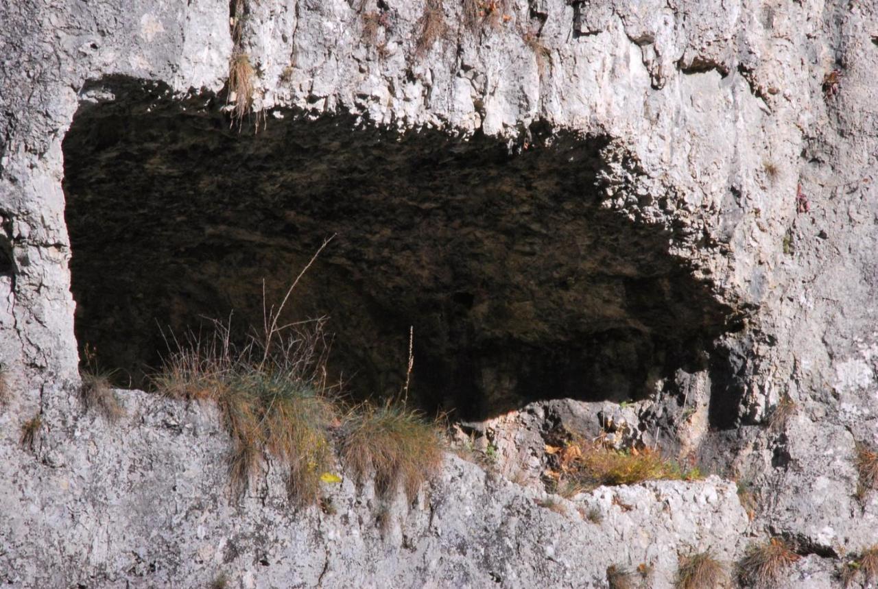 Pokoje Goscinne U Grazyny Ojcow Exterior foto